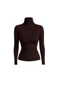 Turtleneck Sheer Blouse